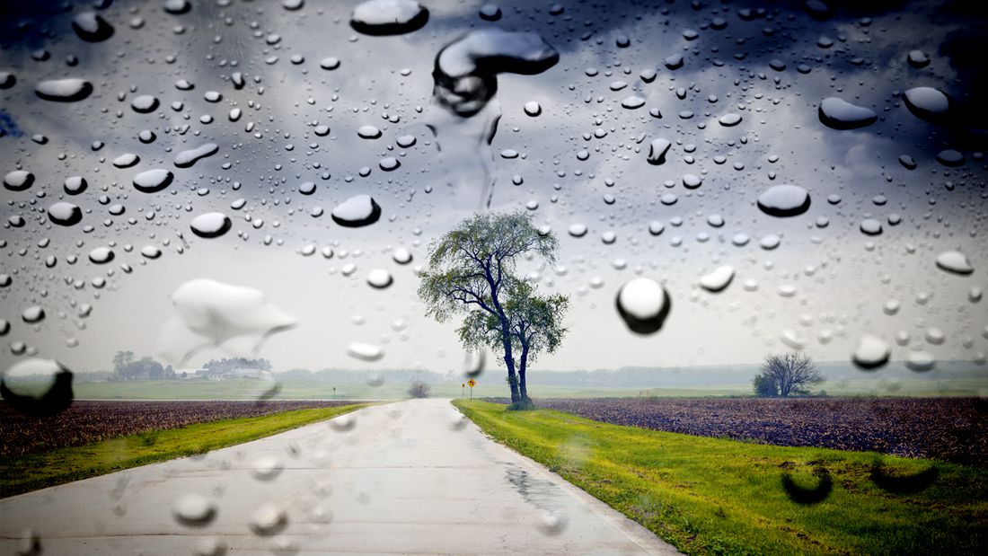 雨后城市是致病细菌的培养基？这些你一定要注意！