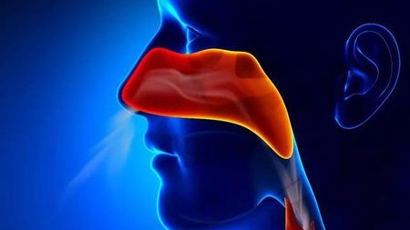 注意!长期用嘴呼吸会影响颜值!