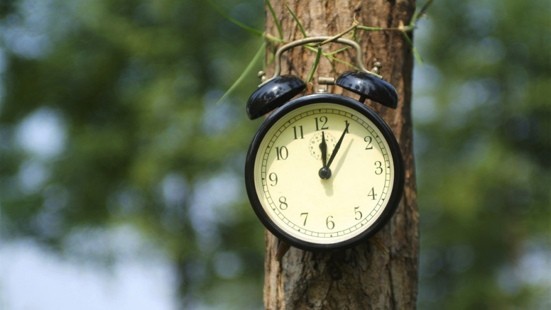 你了解你自己的生物钟吗?