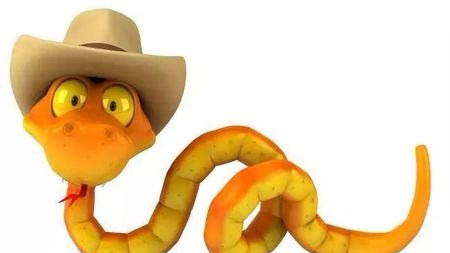 蛇为什么会经常吐信子,还会来回摆动自己的舌头?