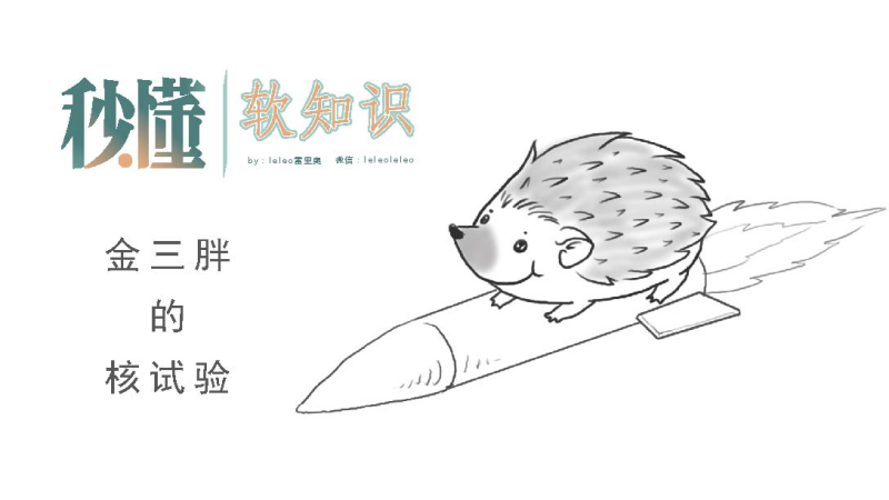 朝鲜核试验,金三胖的刺猬策略