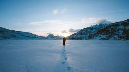 冰河上的贵公子王思聪:曾身家60亿,如今千万资产被冻结