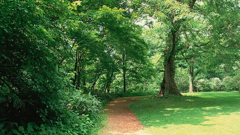 在野外,遇到这些昆虫要小心?