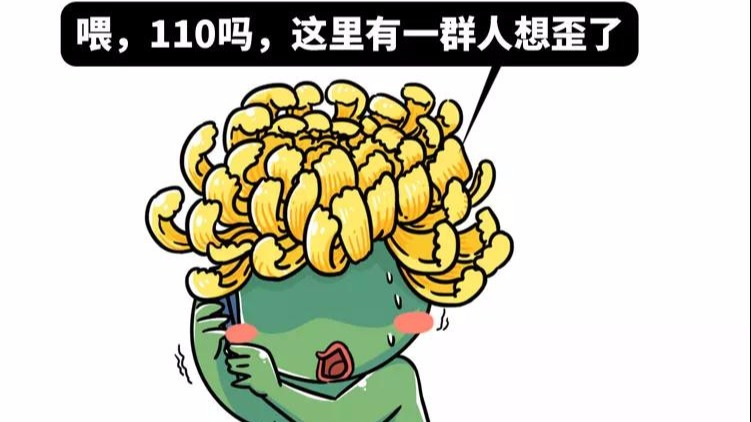 关于菊花,原来还有这么多的背后故事是我们不知道的!