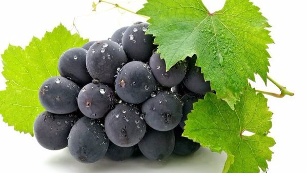 葡萄籽,是吃还是不吃好?