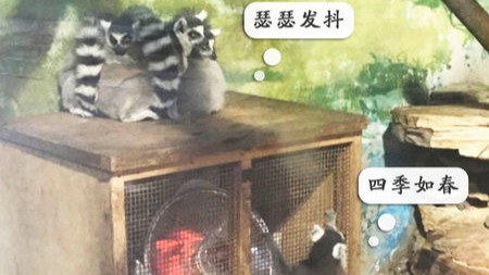 哪些国家失去了中国的天然气订单会惊慌?