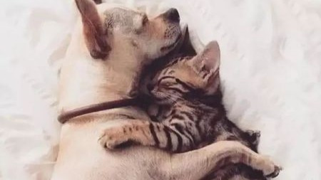 父母隐瞒了我们的5个秘密