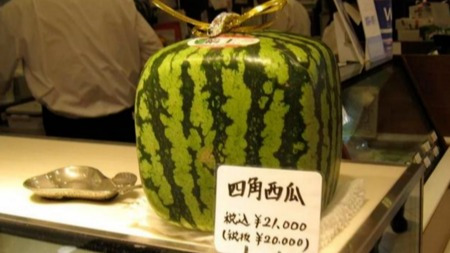 日本西瓜200人民币一个?这背后不为人知的是……