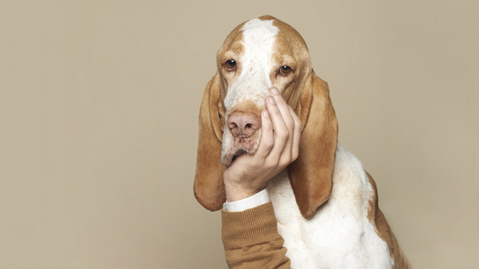 为什么不受待见的总是你?