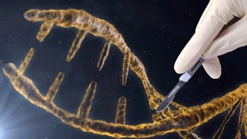 重建伦理,如何设计新生婴儿?