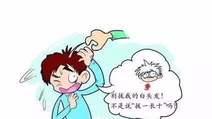 白头发“拔一根长十根”,果真如此?