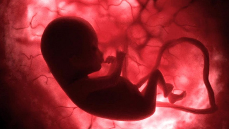 婴儿在出生之前能看到什么吗?