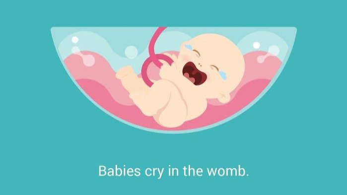 12件关于怀孕不可思议的真相绝对会让你脑洞大开!