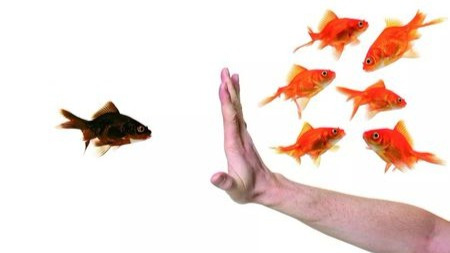 偏见有的时候是有一定道理的