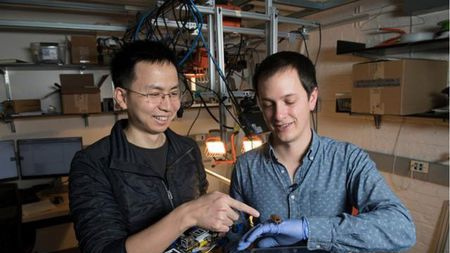 中国青年科学家研究蟑螂步态,开发出多足机器人步态以及运动模型