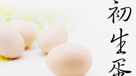 母鸡刚开始下的蛋都比较小,这种鸡蛋真的比普通鸡蛋更营养?