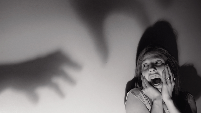 特别聚焦:我们究竟是什么鬼?