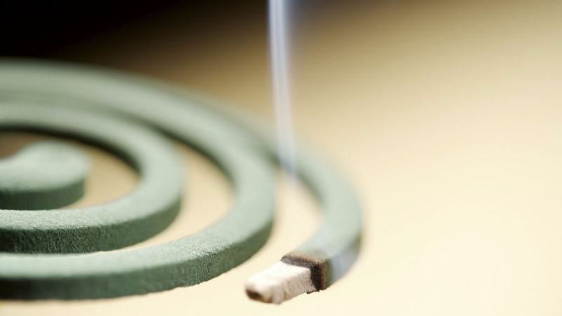 点蚊香和被蚊子咬,哪个对人危害大?