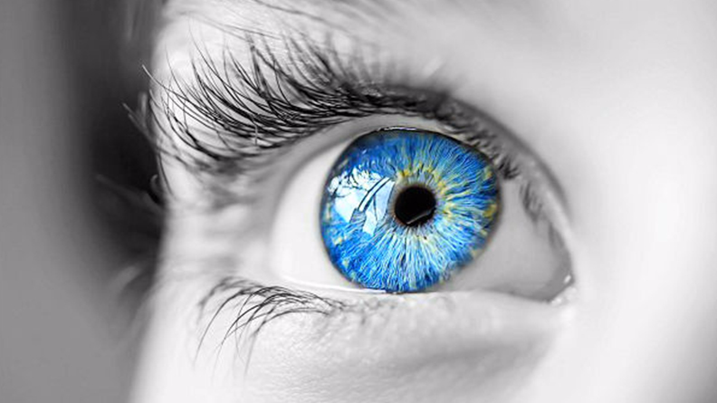 28个超经典社会心理学现象