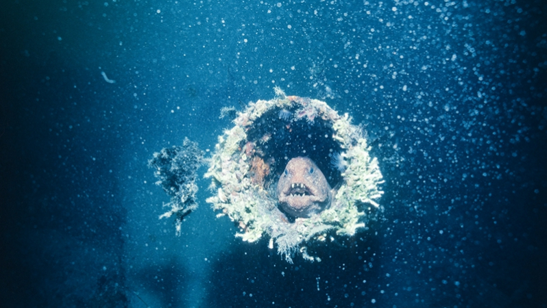 核辐射巨怪真的存在吗?