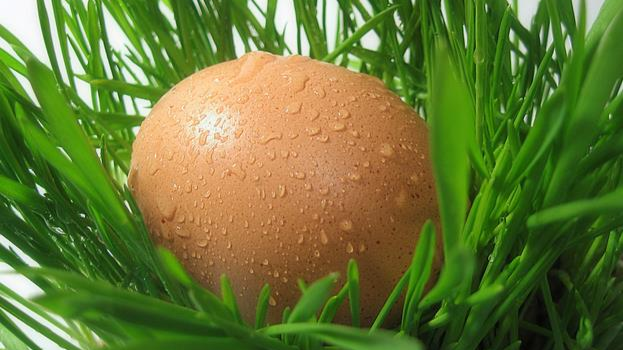 鸡蛋有没有保质期?