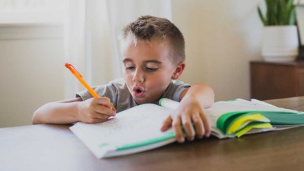 同样是九年义务教育,为何好奇宝宝那么优秀?