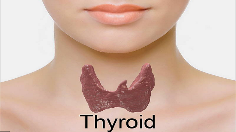 我们还需要继续吃碘盐吗?