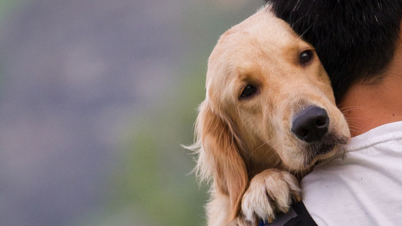 2016 年最冷科学知识 Top 10