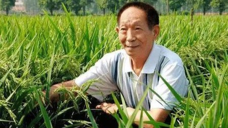 89岁袁隆平英语直播:这个宝藏男孩,揭示了所有行业的潜规则?