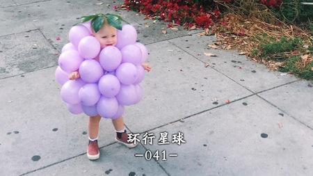 恕我直言,在法国葡萄园上班,就像在东北掰玉米