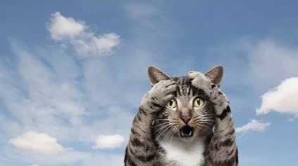 你确定你和你的小伙伴没自闭症吗? 那些你不知道的秘密!