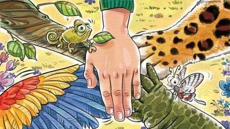 自然、动物、植物之间存在纯洁的互助关系吗?