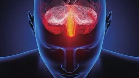 面对海量信息,我们的大脑会“死机”吗?