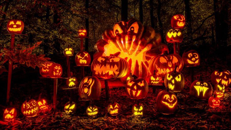 什么?他们在万圣节雕的居然不是南瓜?