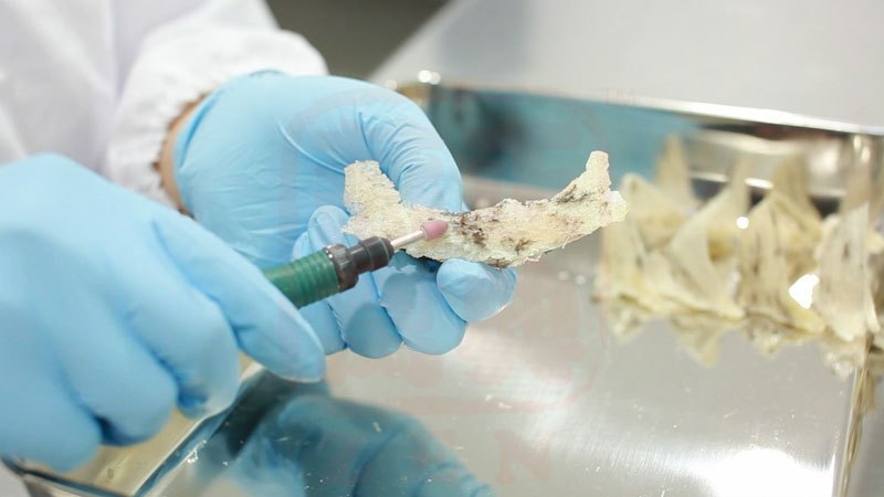 为什么燕窝如此昂贵?