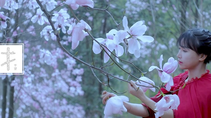 从月薪300的打工妹到月入百万的网红,李子柒是怎么做到的?