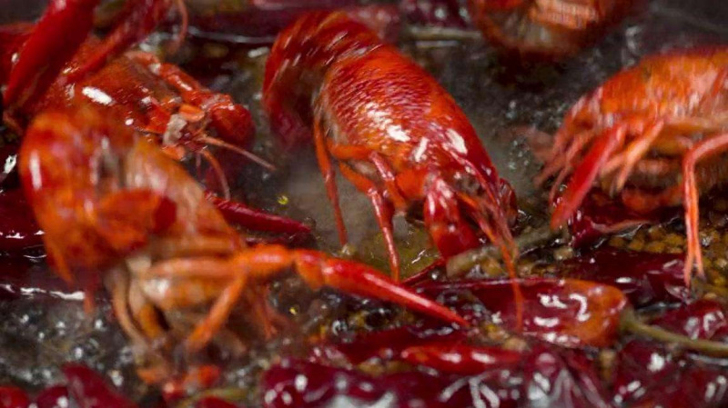 一集飙到9.4,这部国产良心终于让我等到了