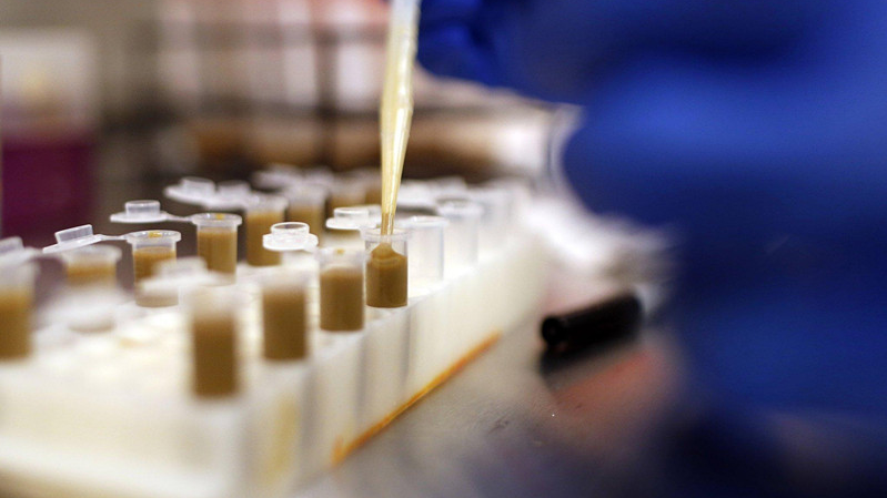 粪便捐赠有什么用?