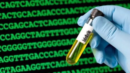 基因检测预测不了你的未来,但它能计算人类的命运