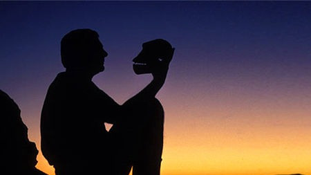 自然选择的背后有什么数学原理?