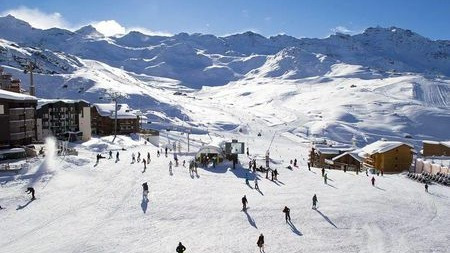 什么?恒温动物不能冬泳?