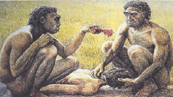 无厘头研究:120万年前的古人类吃什么?