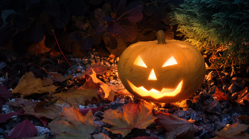 为什么干坏事让人觉得爽?