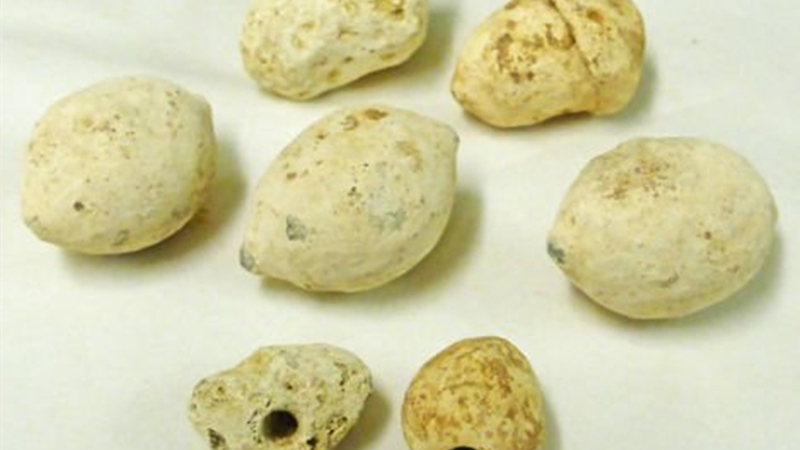 古罗马破胆武器:我咻我咻我咻咻咻