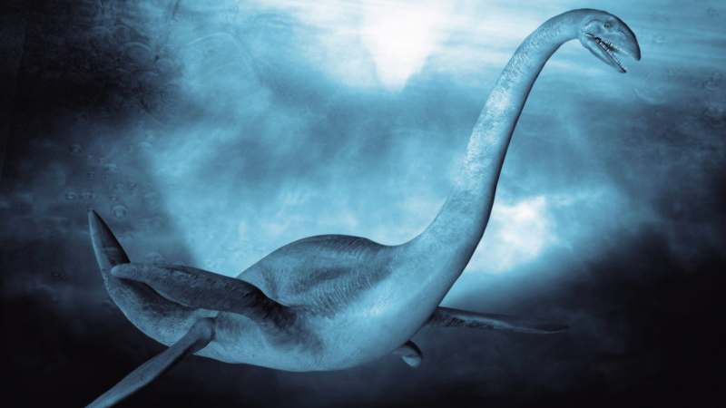 为何人们坚持不懈的寻找尼斯湖水怪?