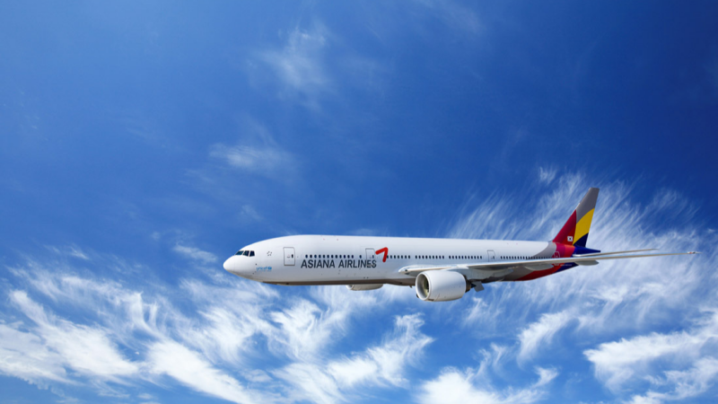 为什么一只小鸟就能让飞机机毁人亡?