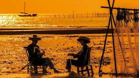 中国近海渔业为什么陷入了“无鱼可捕”的危机?