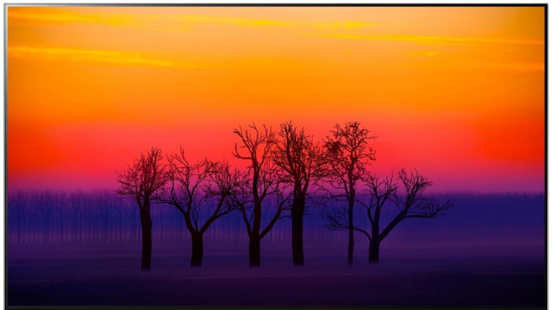 世界上有多少种颜色?有可能存在人类尚未发现的颜色吗?