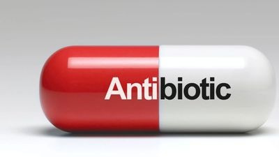 饮水和食物里含有的抗生素,对人体健康有威胁吗?