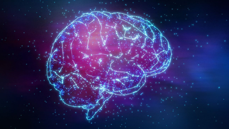 我们的大脑中是否有一个意识存在的地方?